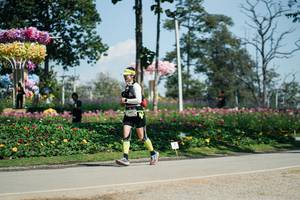 BIB: 
                            <button type="button" onclick="openModal(27614932)" class="btn btn-primary btn-sm float-right btn-popup" data-toggle="modal" data-target=".modal-high-quality">
                        <i class="fas fa-shopping-cart"></i> Add to Cart
                    </button>
                                            <button type="button" onclick="isThisMe(27614932, true)" class="btn btn-success btn-sm float-right btn-popup btn-isme hidden" data-toggle="tooltip" data-placement="bottom" title="นี่คือรูปของคุณใช่ไหม คลิกที่นี่เพื่อเอาเข้าอัลบั้ม">
                        <i class="fas fa-plus"></i> Add to album
                    </button>
                    <button type="button" onclick="isThisMe(27614932, false)" class="btn btn-warning btn-sm float-right btn-popup btn-isnotme hidden">
                        <i class="fas fa-ban"></i> Remove from album
                    </button>